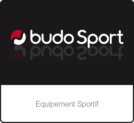 Vignette-New-Logo-Budo-Sport-fr-AJ