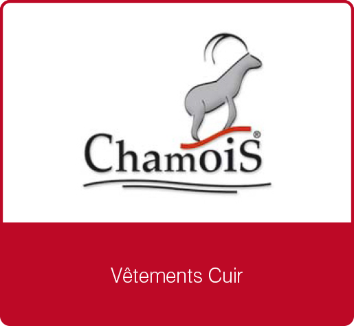 Vignette-New-Logo-Chamois-fr-AJ